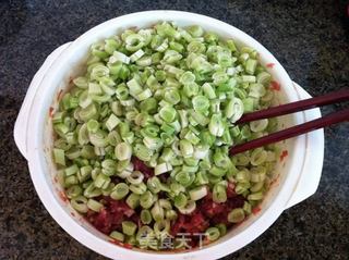 芸豆猪肉包子的做法步骤:4