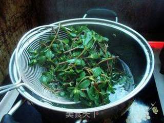 水豆豉拌马齿苋的做法步骤:2