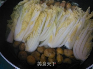 板栗烧白菜的做法步骤:7