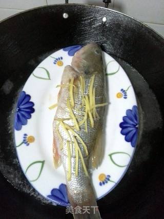 老菜新做——清蒸鲈鱼的做法步骤:3
