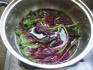 教你简单一招做好看又好吃的面食——苋汁麻食的做法步骤:9