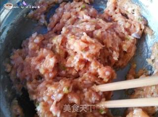 儿童创意菜谱---花朵肉末的做法步骤:4