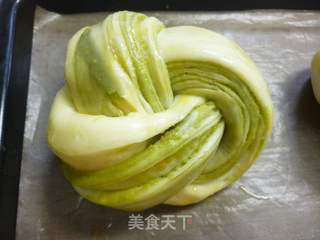 抹茶夹层面包成型方法的做法步骤:12