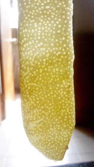 枸杞蜂蜜柚子茶的做法步骤:2