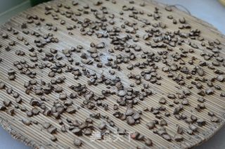 自制牛蒡茶的做法步骤:4
