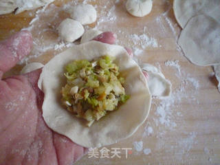 白菜香干素蒸饺的做法步骤:10