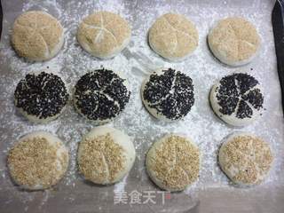 德式燕麦早餐包---皇帝的面包的做法步骤:8