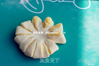 椰香菊花包的做法步骤:11