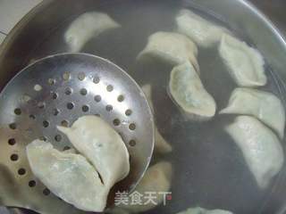 清香鲜甜---韭菜虾仁饺子的做法步骤:8