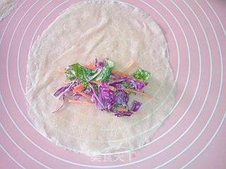 蔬菜沙拉春卷的做法步骤：9