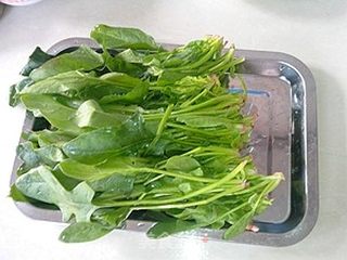 菠菜玉米沙拉的做法步骤:5