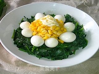 菠菜玉米沙拉的做法步骤:12