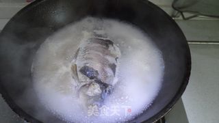 鲫鱼萝卜丝汤的做法步骤：5