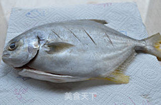 红烧鲳鱼的做法步骤:4