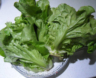 蚝油生菜的做法步骤：1