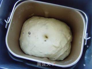 黑提燕麦吐司的做法步骤:6