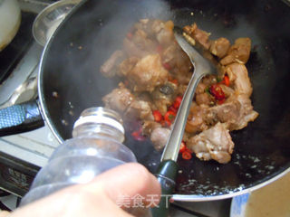 【茶籽油炖羊肉】--冬天的最佳美食补品的做法步骤:9