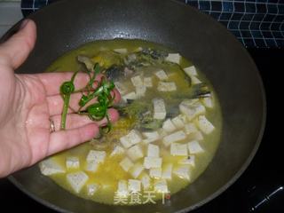 汪刺鱼豆腐汤的做法步骤：8