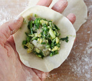 肉三鲜煎饺的做法步骤:10