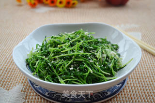 芝麻盐拌豆苗的做法步骤:12