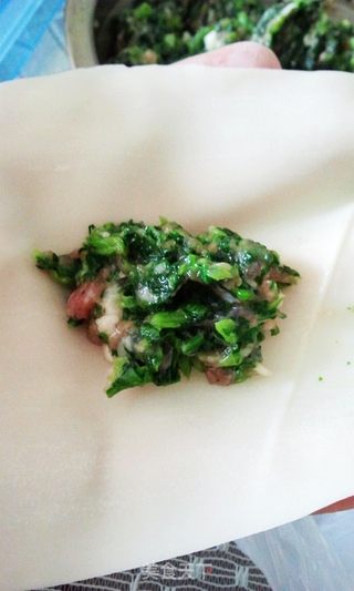 菜肉大馄饨的做法步骤:9