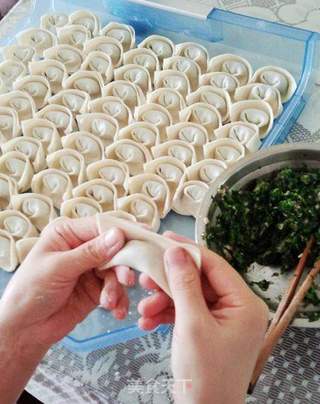 菜肉大馄饨的做法步骤:10