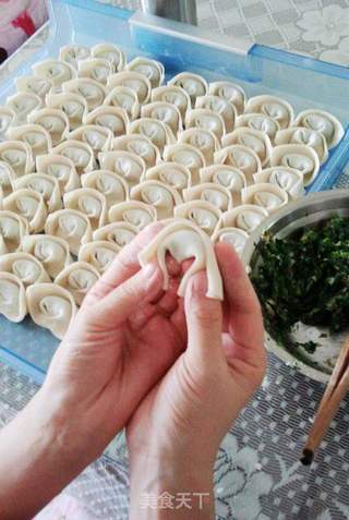 菜肉大馄饨的做法步骤:11