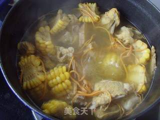 清甜滋补---虫草花煲猪骨的做法步骤:4