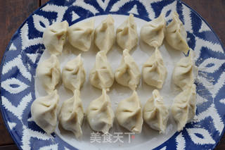 芹菜虾肉水饺的做法步骤:20