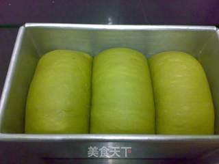 绿茶奶油吐司的做法步骤:10