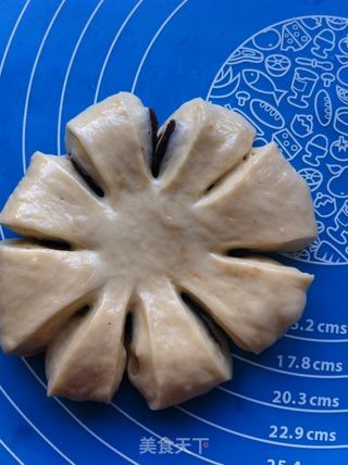花朵小面包的做法步骤:8