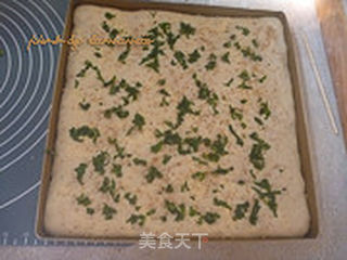 肉松面包卷的做法步骤:9