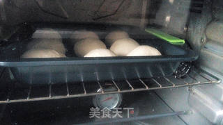 超级柔软的---酸奶乳酪小餐包的做法步骤:8