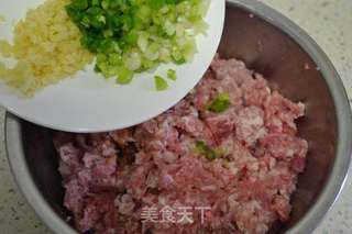 茴香饺子的做法步骤:7