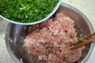 茴香饺子的做法步骤:12