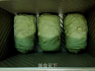 抹茶板栗面包的做法步骤:9