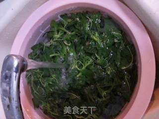 野苋菜馅】包子的做法步骤:4