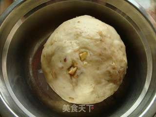 核桃餐包的做法步骤：7