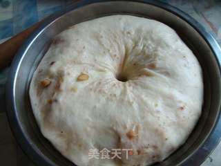 核桃餐包的做法步骤：8