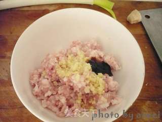 猪肉包菜锅贴的做法步骤:2