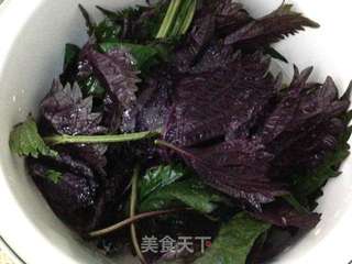 紫苏姜的做法步骤：4