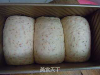 依然学烘培--中种全麦麸皮土司的做法步骤:14