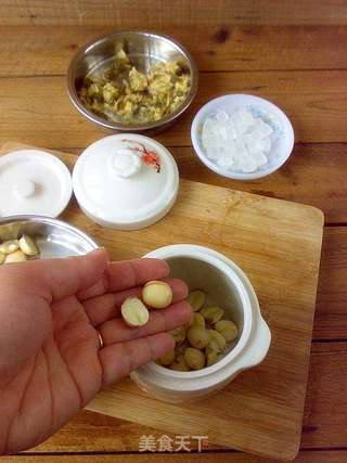 莲子菊花炖冰糖的做法步骤:2