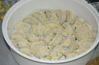 韭菜猪肉饺子的做法步骤:5