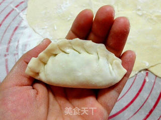 韭菜猪肉饺子的做法步骤：13