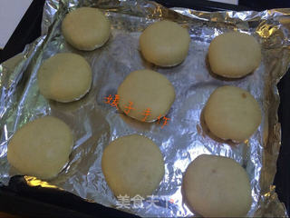 鲜肉月饼---享受那一地的酥脆迷人的做法步骤:15