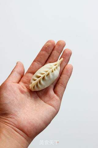 【鲜虾猪肉饺子】的做法步骤:8