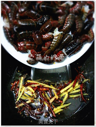 疯狂的虾球--怎么做麻辣鲜香的小龙虾的做法步骤:7