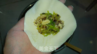 西葫芦素菜包子的做法步骤:6