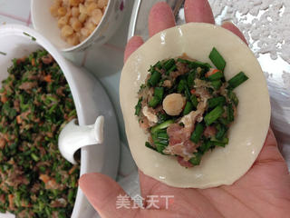 【私房韭菜饺子】的做法步骤:11